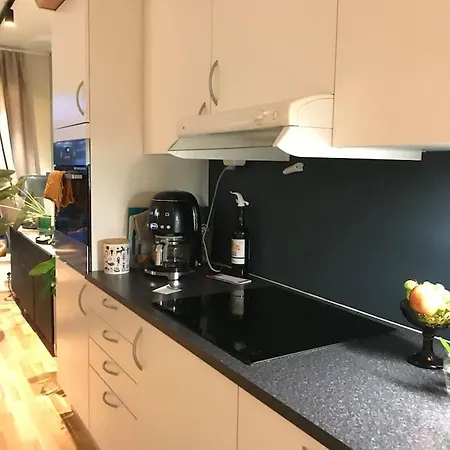 Trivelig Leilighet Med Parkeringsplass Апартаменты *